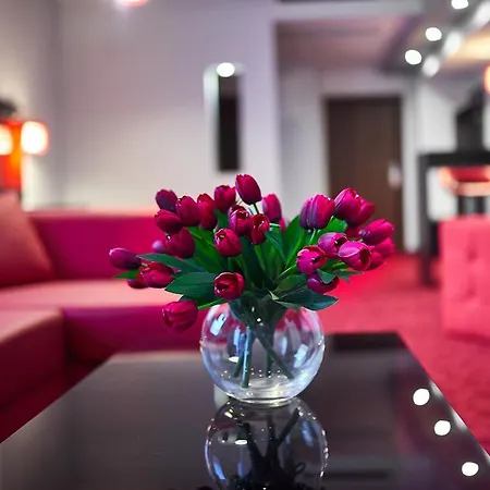 Zimowit 3* رشيشوف