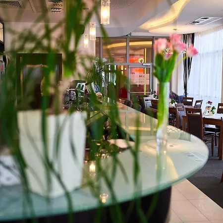 酒店 吉莫维特酒店